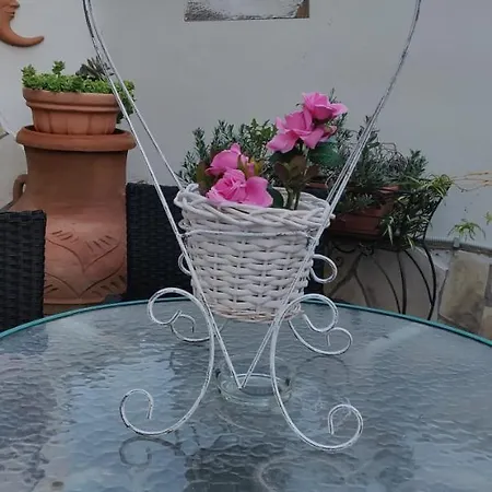 Hillary House Konukevi 3*