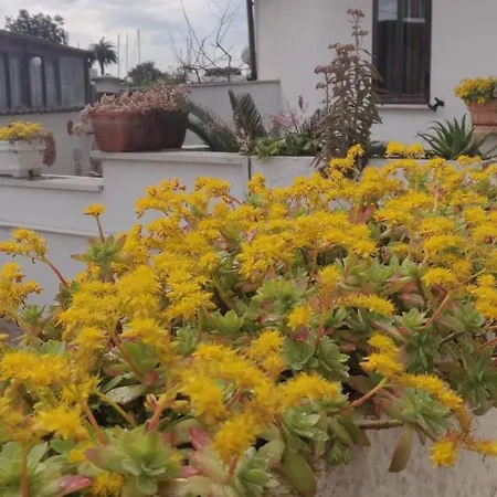 Hillary House Konukevi