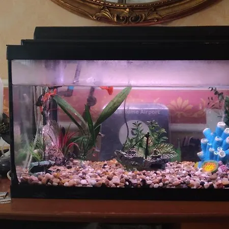 Konukevi Hillary House 3*