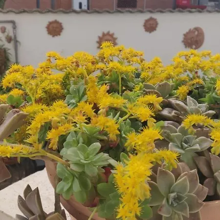 Hillary House Konukevi 3*